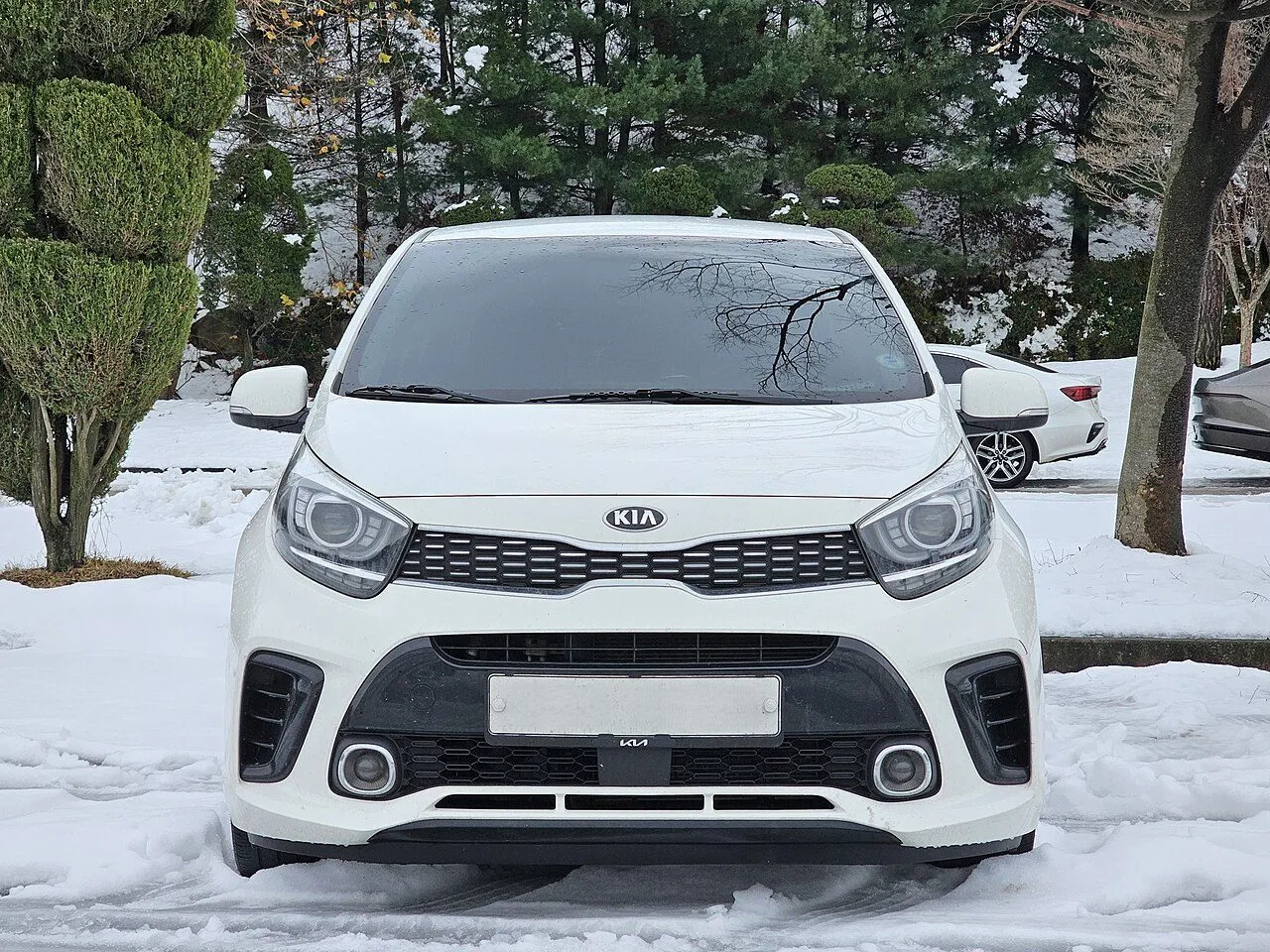 Kia Morning MT 2024, ảnh 2