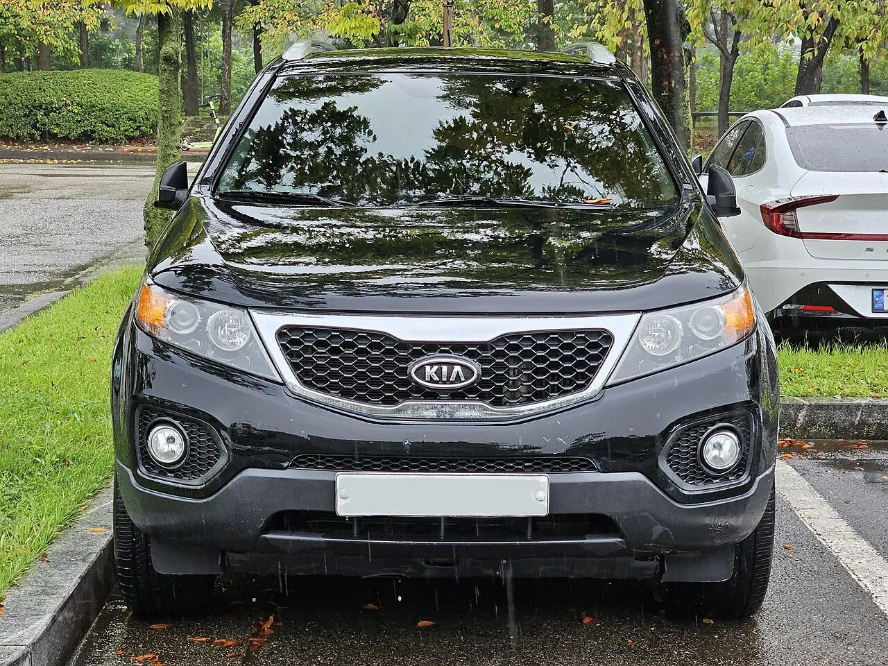 Kia Sorento 2.2D Signature 2023, ảnh 2