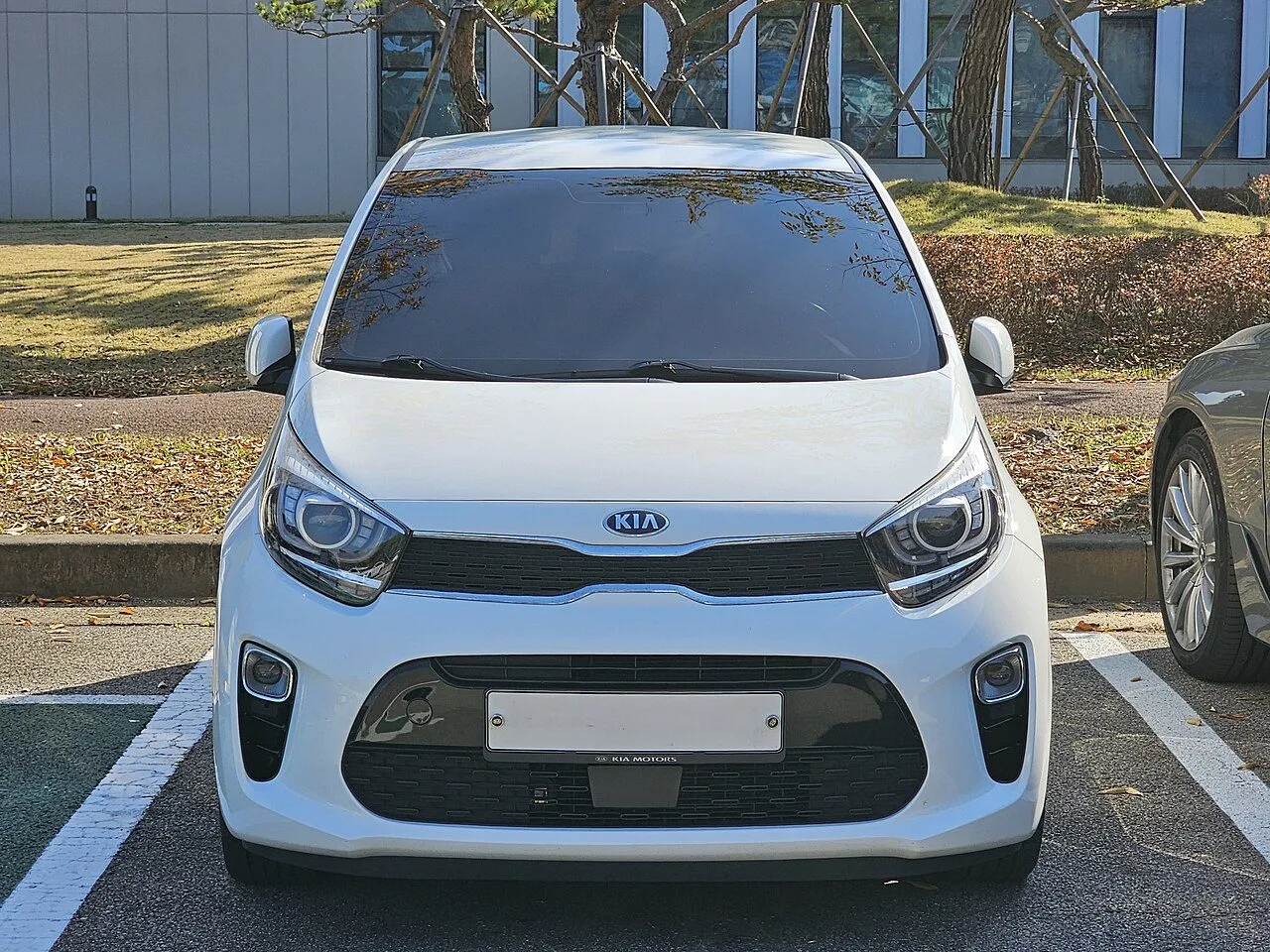 Kia Morning MT 2024, ảnh 4