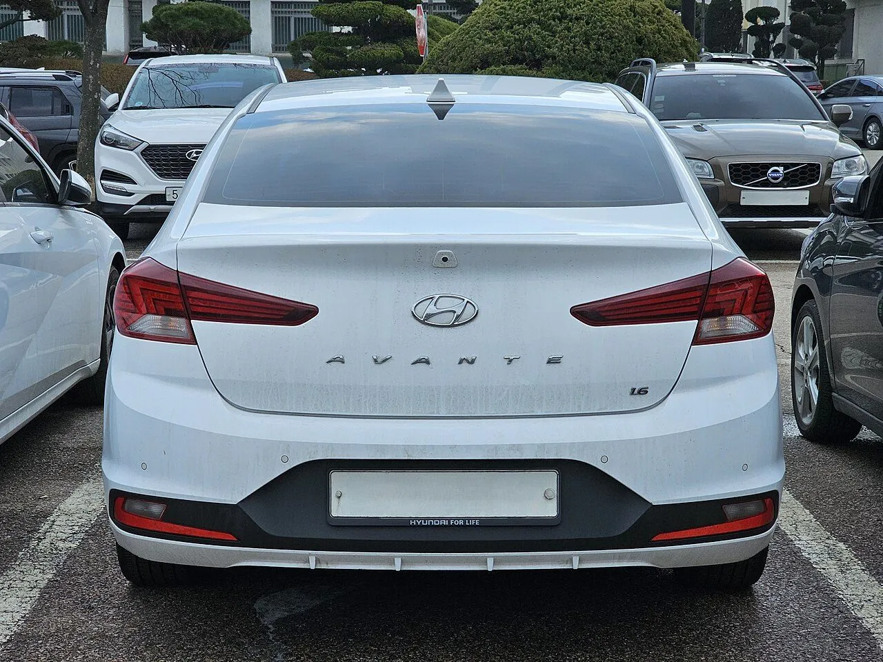 Hyundai Elantra 2.0 AT 2024, ảnh 3